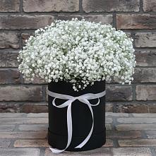 Цветочная композиция из Гипсофила в шляпной коробке #REPLACE_PRED# Нижнем Карачане